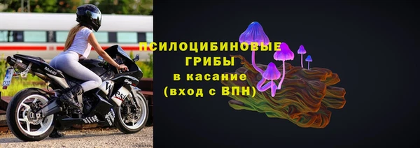 ешки Горнозаводск