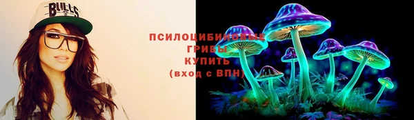 ешки Горнозаводск