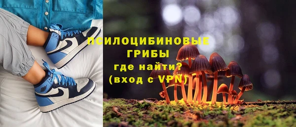 стафф Горняк