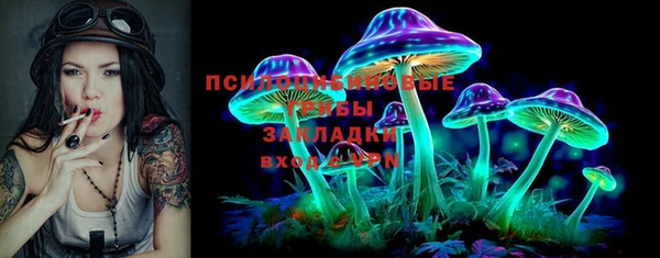 стафф Горняк