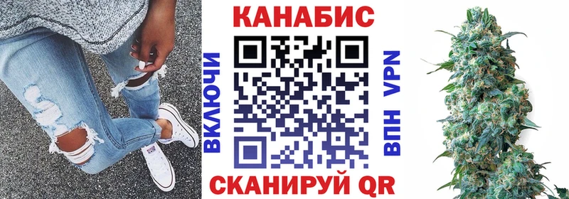 Конопля SATIVA & INDICA  продажа наркотиков  Оренбург 